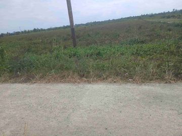 Jual Tanah 50 X 100 di Kab.Sorong Unit 2
