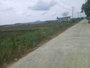 Jual Tanah 50 X 100 di Kab.Sorong Unit 2