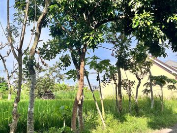 Dijual Murah Tanah Dalam Cluster Perumahan Area Gito Gati, Palagan