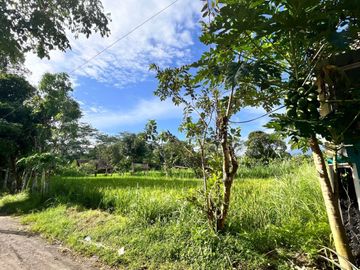 Dijual Murah Tanah Dalam Cluster Perumahan Area Gito Gati, Palagan