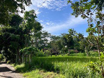 Dijual Murah Tanah Dalam Cluster Perumahan Area Gito Gati, Palagan
