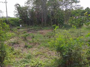 Dijual Tanah Hook Zona Industri di Sebani Tanjangrono Ngoro Mojokerto SHM On Hand