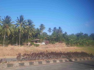 DIJUAL CEPAT TANAH STRATEGIS DAERAH JL SBY, HARGA SANGAT MURAH