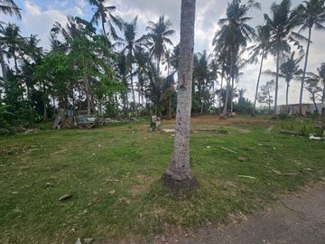Dijual tanah ada pohon kelapa lokaso ciputra pangkung tibah tabanan Lingkungan villa