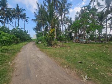 Dijual tanah ada pohon kelapa lokaso ciputra pangkung tibah tabanan Lingkungan villa