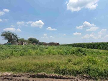 Terreno agrícola en venta