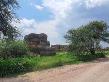 Terreno agrícola en venta