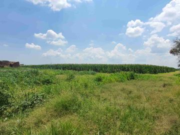 Terreno agrícola en venta