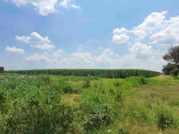 Terreno agrícola en venta