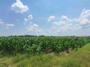Terreno agrícola en venta