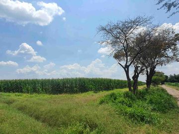Terreno agrícola en venta
