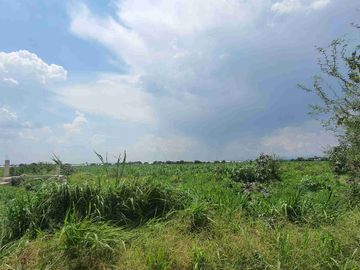 Terreno agrícola en venta