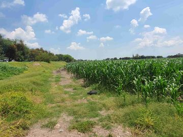 Terreno agrícola en venta