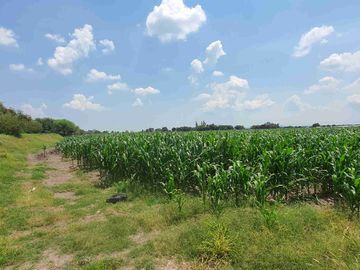 Terreno agrícola en venta