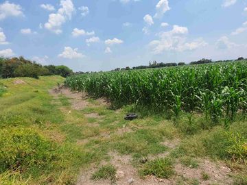 Terreno agrícola en venta