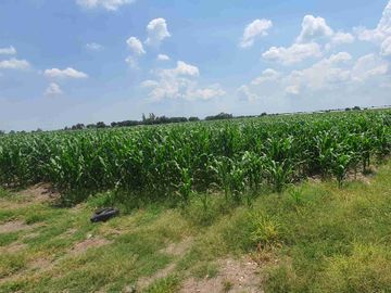 Terreno agrícola en venta