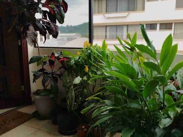Alquiler de Departamento Amoblado en Colinas de Los ceibos cerca de Olivos Park. Incluye alicuota