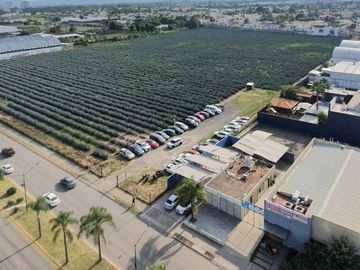 Departamento amueblado en renta en zona real Zapopan
