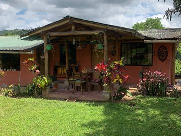 Vendo finca de 10 hectáreas entre Gualea y Pacto