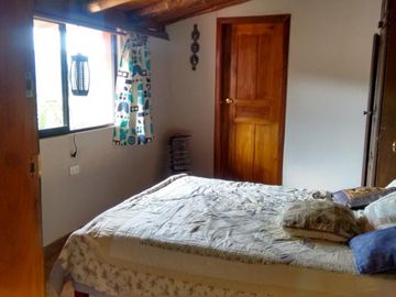 Vendo finca de 10 hectáreas entre Gualea y Pacto