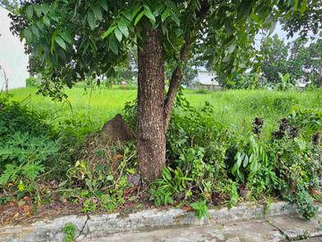 Lot for Sale Centro Verde Iloilo - Selling for 12,500 per sqm