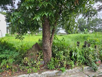 Lot for Sale Centro Verde Iloilo - Selling for 12,500 per sqm
