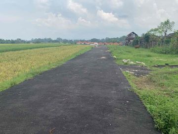 Dijual Tanah Kavling View Sawah
Lokasi - Nyitdah, Pantai Kedungu, Tabanan