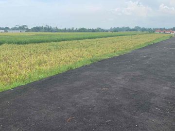 Dijual Tanah Kavling View Sawah
Lokasi - Nyitdah, Pantai Kedungu, Tabanan