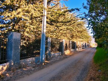 Parcela de 10.000 m2 cerca de aeropuerto y ruta D41
