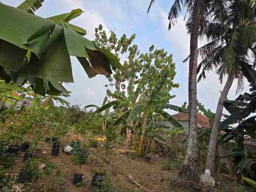 Jual murah Rumah hitung Tanah, Luas bisa di jadikan Mini Cluster di Cipocok Jaya, Serang Banten