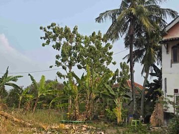 Jual murah Rumah hitung Tanah, Luas bisa di jadikan Mini Cluster di Cipocok Jaya, Serang Banten