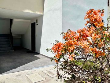 Departamento planta baja en renta en privalia Querétaro