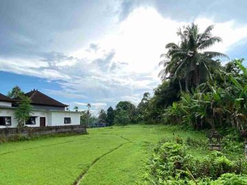 DIJUAL TANAH STRATEGIS – MEGATI, SELEMADEG, TABANAN BALI