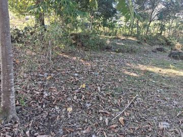 Tanah Kebun Mini Depan Jalan Aspal Lanna,  Parangloe