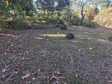 Tanah Kebun Mini Depan Jalan Aspal Lanna,  Parangloe