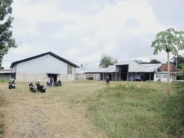 DISEWAKAN LAHAN DAN GUDANG STRATEGIS KALIPURO-BANYUWANGI