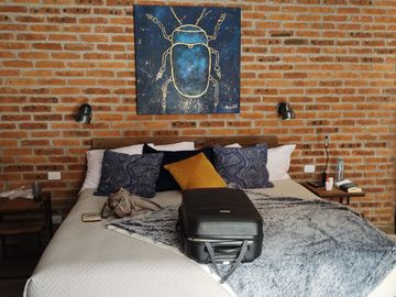 RENTO CASA AMUEBLADA EN FRACC. RESIDENCIAL SAN JAVIER EN BODEGA AURRERA EN SAN MIGUEL DE ALLENDE GUANAJUATO