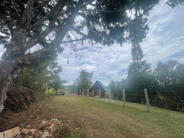 SE VENDE ☕🌳 ¡ESPECTACULAR FINCA  Y DE DESCANSO EN TIMBÍO, CAUCA! 🌳☕¡Una inversión estratégica que ya está produciendo! Espectacular propiedad rural de 16.763 m² en total, disponible completa o por lotes independientes con ESCRITURA INDIVIDUAL.📌ÁREA 16.763 mts2