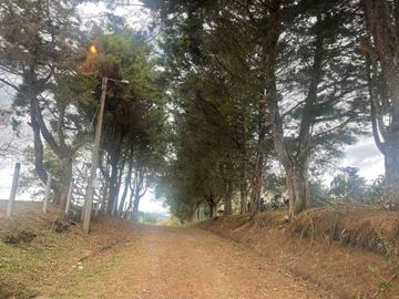 SE VENDE ☕🌳 ¡ESPECTACULAR FINCA  Y DE DESCANSO EN TIMBÍO, CAUCA! 🌳☕¡Una inversión estratégica que ya está produciendo! Espectacular propiedad rural de 16.763 m² en total, disponible completa o por lotes independientes con ESCRITURA INDIVIDUAL.📌ÁREA 16.763 mts2