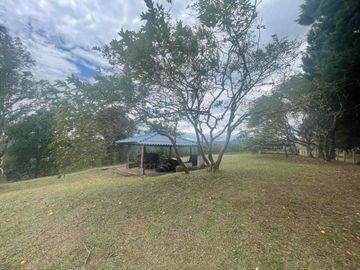 SE VENDE ☕🌳 ¡ESPECTACULAR FINCA  Y DE DESCANSO EN TIMBÍO, CAUCA! 🌳☕¡Una inversión estratégica que ya está produciendo! Espectacular propiedad rural de 16.763 m² en total, disponible completa o por lotes independientes con ESCRITURA INDIVIDUAL.📌ÁREA 16.763 mts2