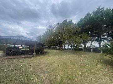 SE VENDE ☕🌳 ¡ESPECTACULAR FINCA  Y DE DESCANSO EN TIMBÍO, CAUCA! 🌳☕¡Una inversión estratégica que ya está produciendo! Espectacular propiedad rural de 16.763 m² en total, disponible completa o por lotes independientes con ESCRITURA INDIVIDUAL.📌ÁREA 16.763 mts2