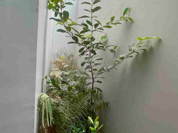 Jual Rumah 3 Lantai Grand Wisata Z Living Semi furnished & Strategis