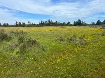 TERRENOS EN VENTA EN LOS ÁNGELES | REGIÓN DEL BIOBÍO