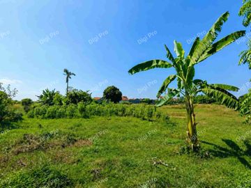 Dijual Tanah Luas 2.7ha, Tembok Keliling Bebas Sengketa. SHM