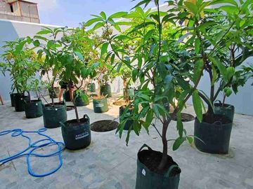 Rumah Mewah Baru 3lt di Tengah Kota Solo