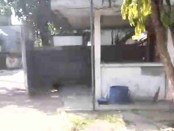 DISEWAKAN GUDANG DI TIPAR CAKUNG JAKARTA TIMUR LUAS 600 900 1200 MURAH AKSES KONTAINER