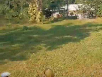 Desa yg cuma 90 menit dari Ibukota Jakarta Luas 5500meter dipenuhi pohon buah, sayur