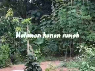 Desa yg cuma 90 menit dari Ibukota Jakarta Luas 5500meter dipenuhi pohon buah, sayur