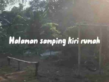Desa yg cuma 90 menit dari Ibukota Jakarta Luas 5500meter dipenuhi pohon buah, sayur