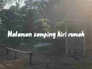 Desa yg cuma 90 menit dari Ibukota Jakarta Luas 5500meter dipenuhi pohon buah, sayur